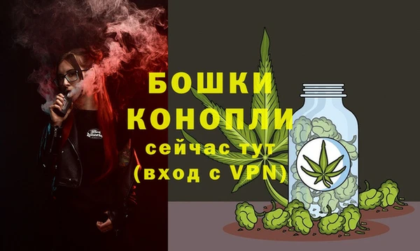 индика Бердск