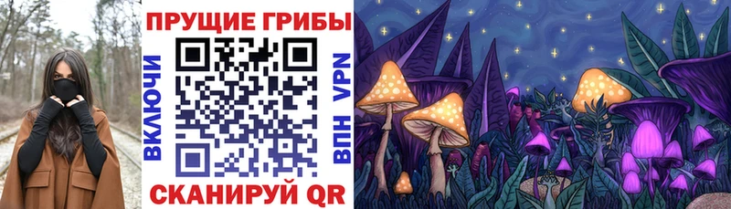 kraken сайт  Гусиноозёрск  Галлюциногенные грибы Psilocybe 