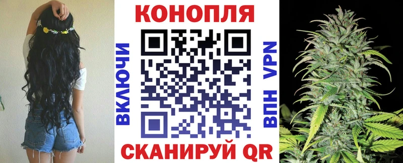 что такое   Гусиноозёрск  Канабис Amnesia 